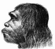 180px-Neanderthaler_Fund.jpg