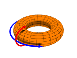 250px-Toroidal_coord.png
