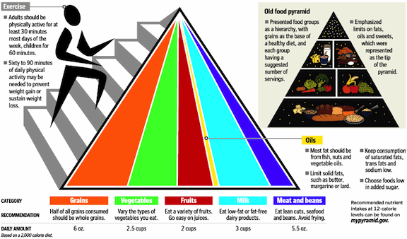 New food pyramid.gif