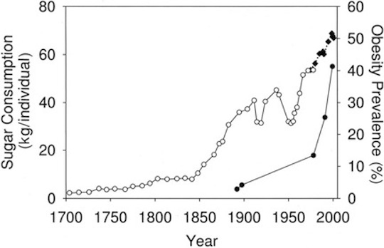 sugarchart2.JPG