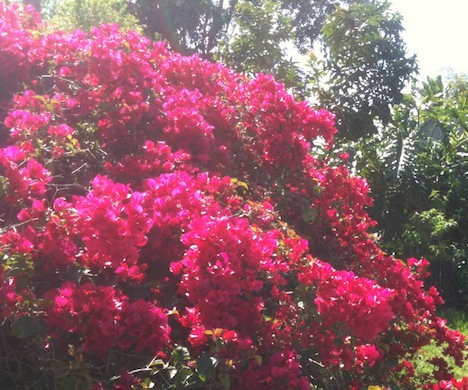 photo-5.JPG