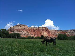 Ghost Ranch3.jpg