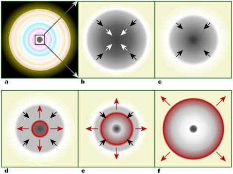 480px-Core_collapse_scenario.png