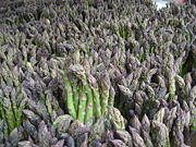 180px-Green_Asparagus_New_York_11_May_2006.jpg