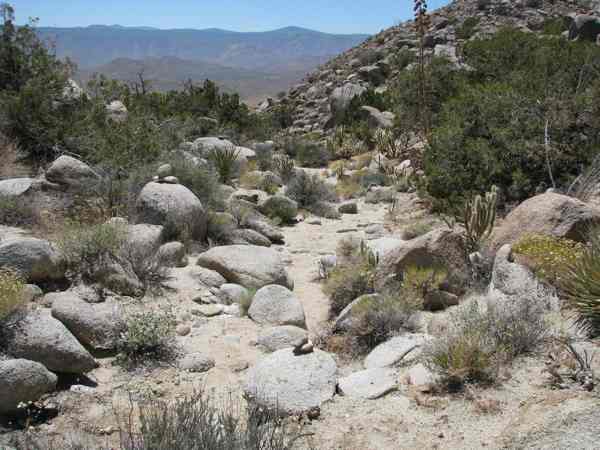 Anza-Borrego.jpg