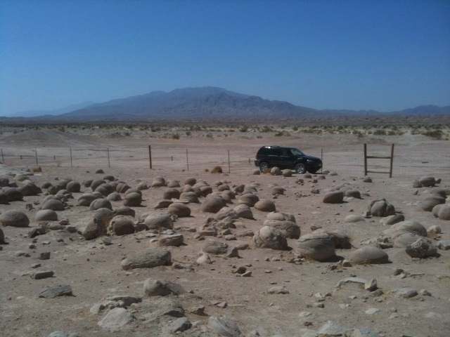 PumpkinPatch&car2.jpg