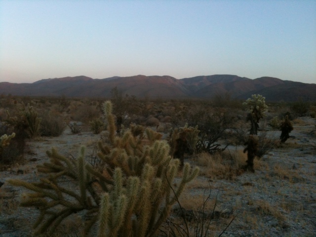photo-9.JPG