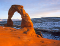 120px-Delicatearch.png