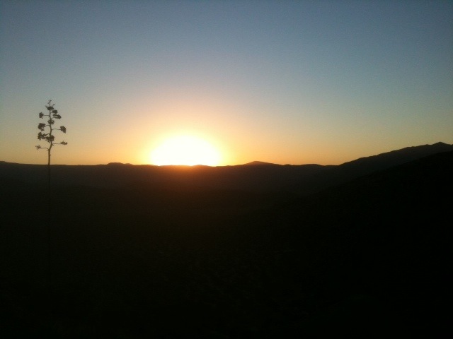 desert sunset.jpg