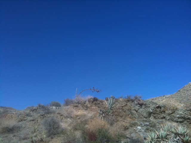 desert sky blue.jpg