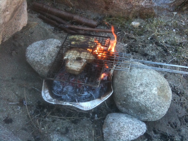 Roast swordfish & squash in desert.jpg