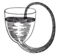 120px-Boyle'sSelfFlowingFlask.png