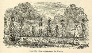 300px-AfricanSlavesTransport.jpg